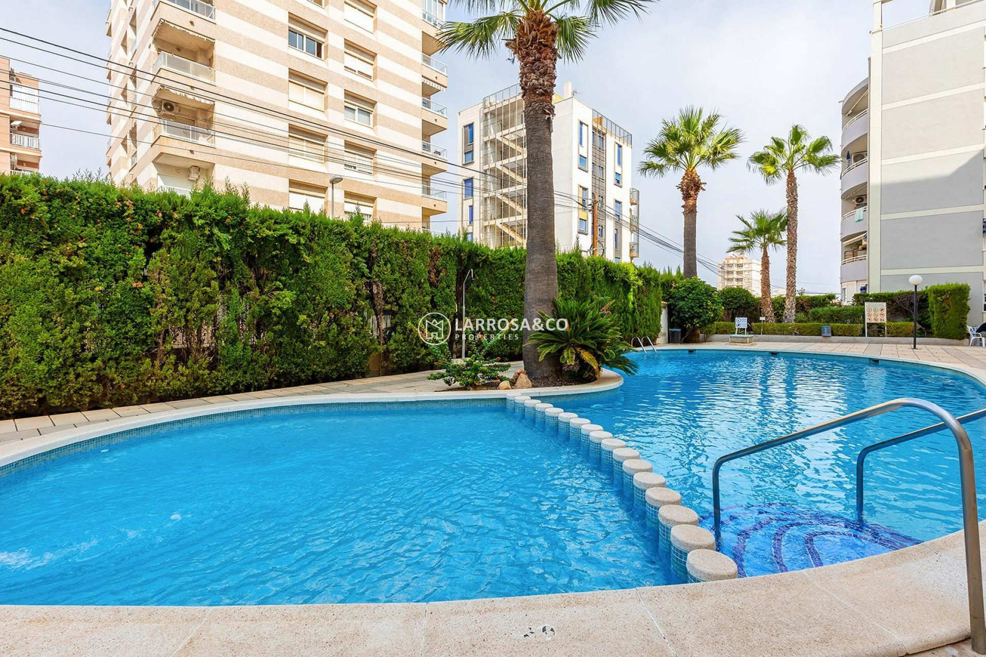 A Vendre - Penthouse  - Torrevieja - Nueva Torrevieja