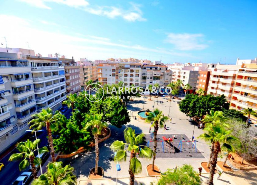 A Vendre - Penthouse  - Torrevieja - Playa del cura