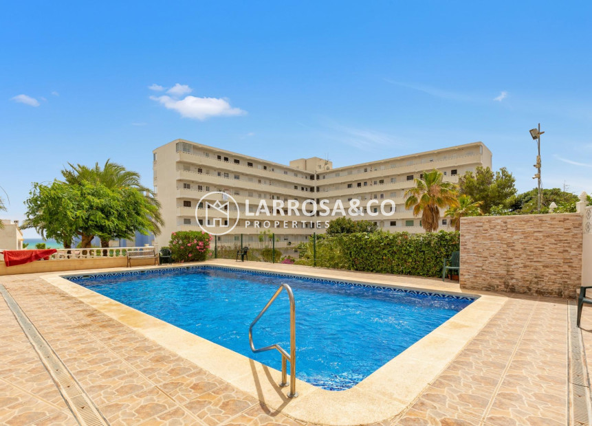 A Vendre - Penthouse  - Torrevieja - Torre la mata