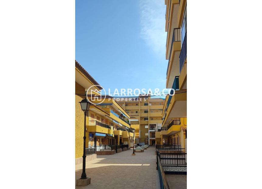 A Vendre - Semi-detached house - Torrevieja - Los Europeos