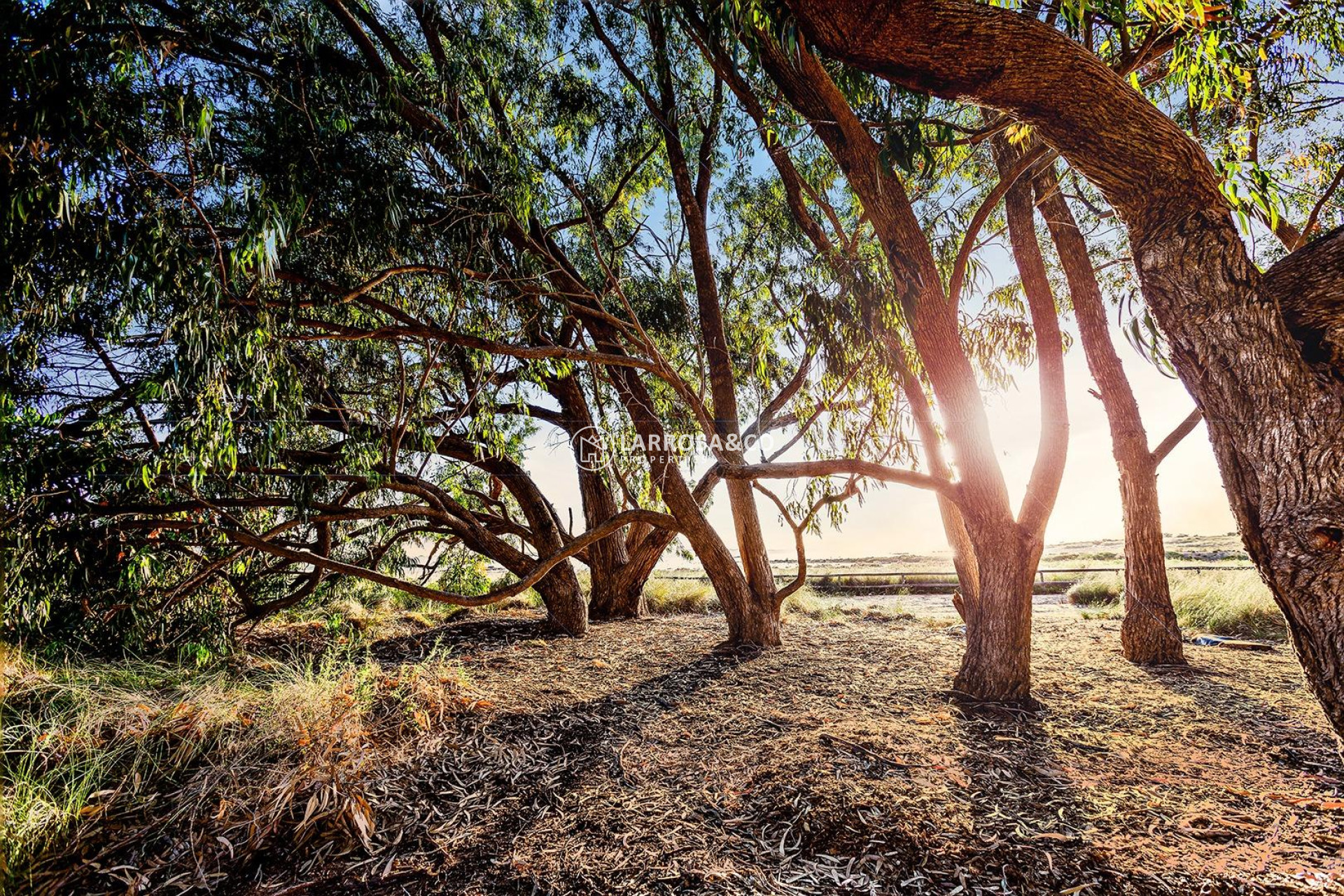 A Vendre - Semi-detached house - Torrevieja - Paraje natural