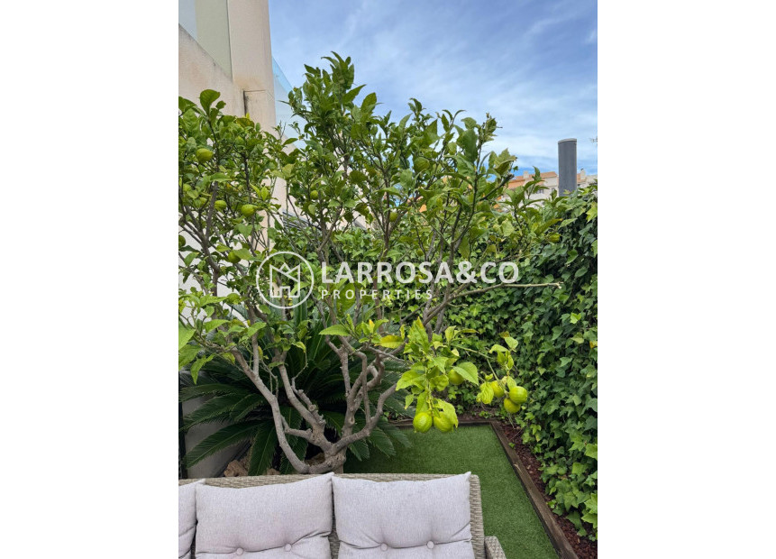 A Vendre - Semi-detached house - Torrevieja - Punta Prima