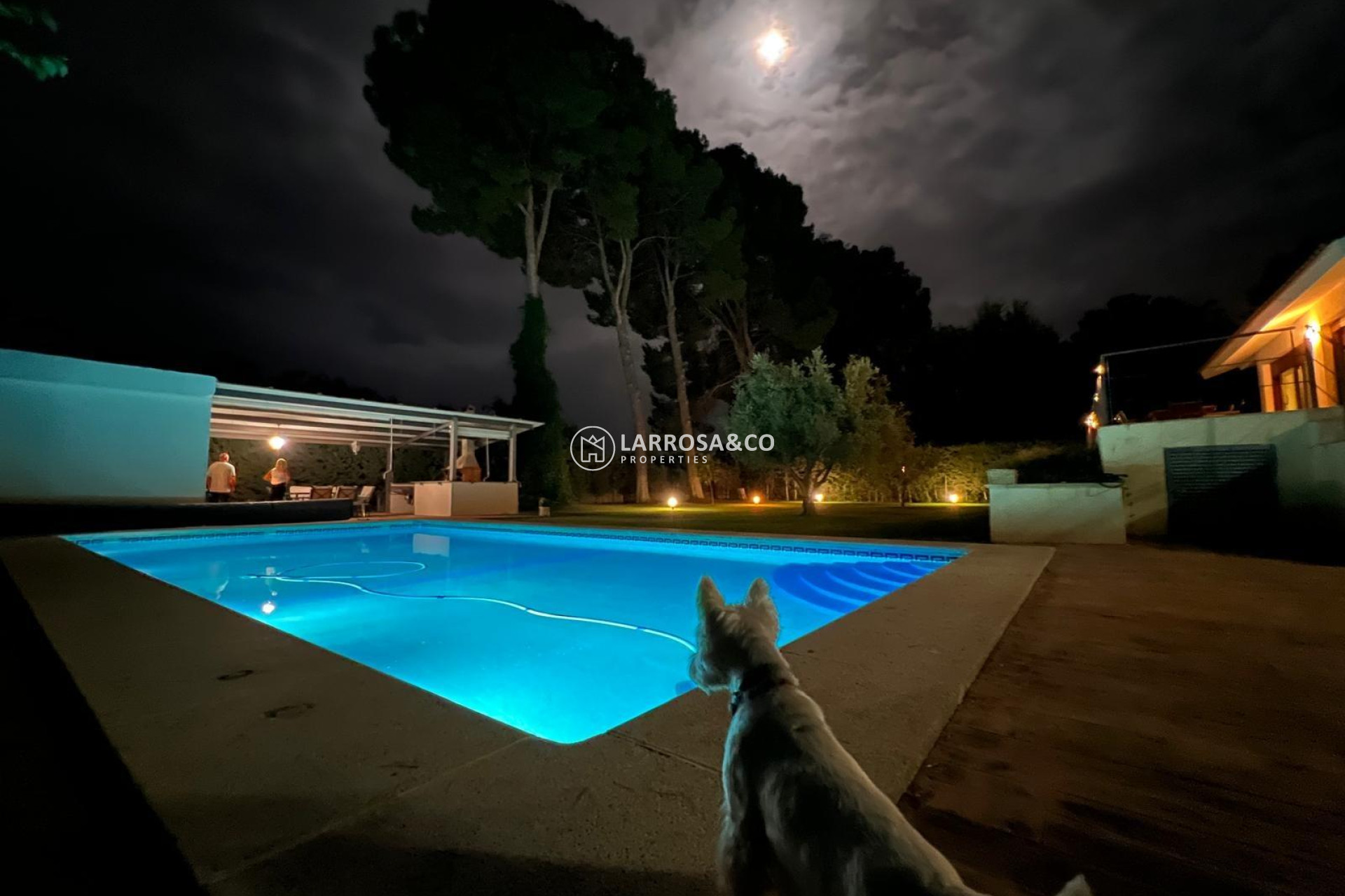 A Vendre - Villa - Albacete - Agua sol