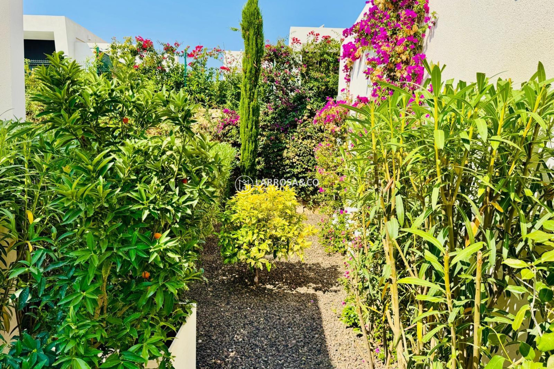 A Vendre - Villa - Algorfa - Club De Golf La Finca