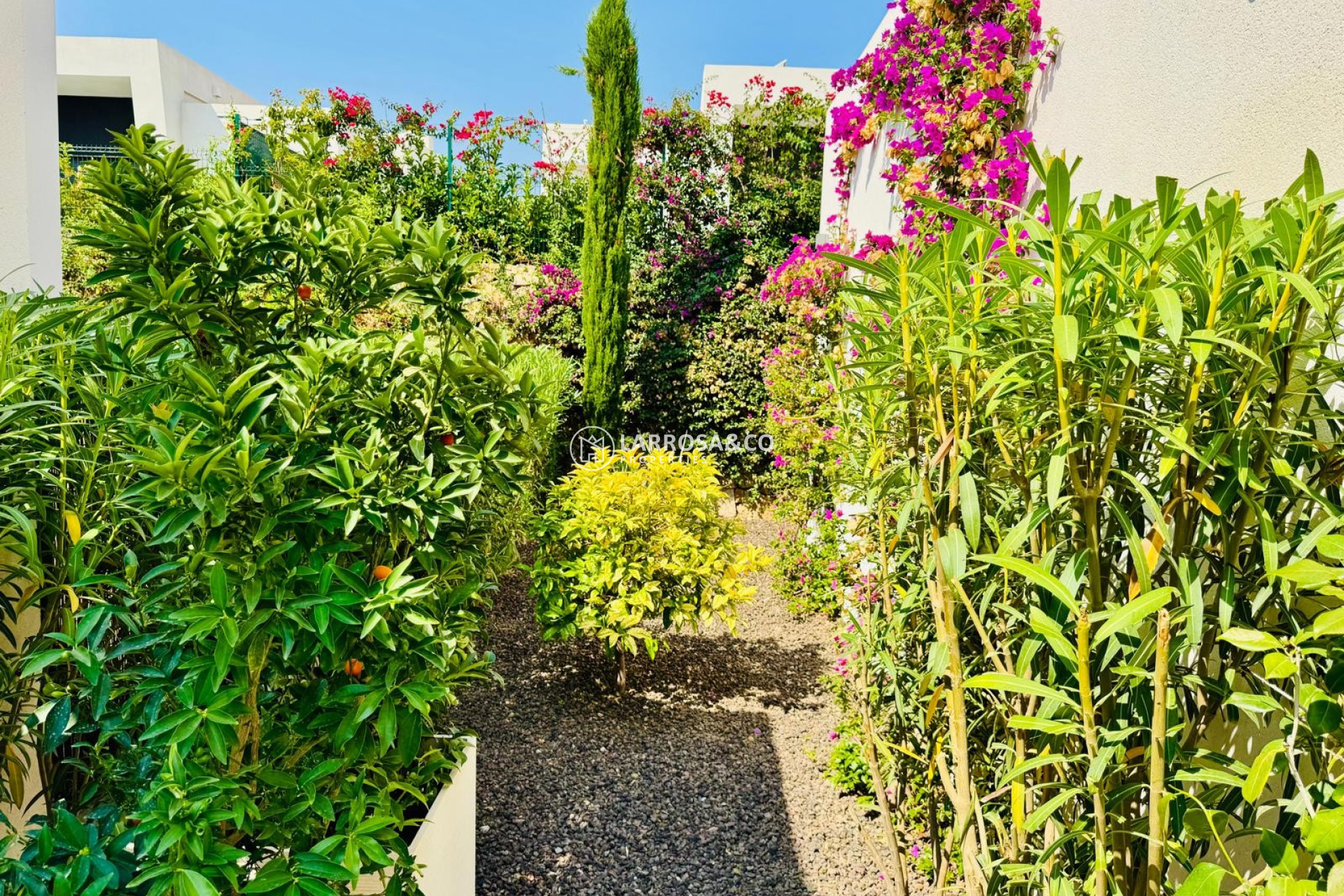 A Vendre - Villa - Algorfa - Inland