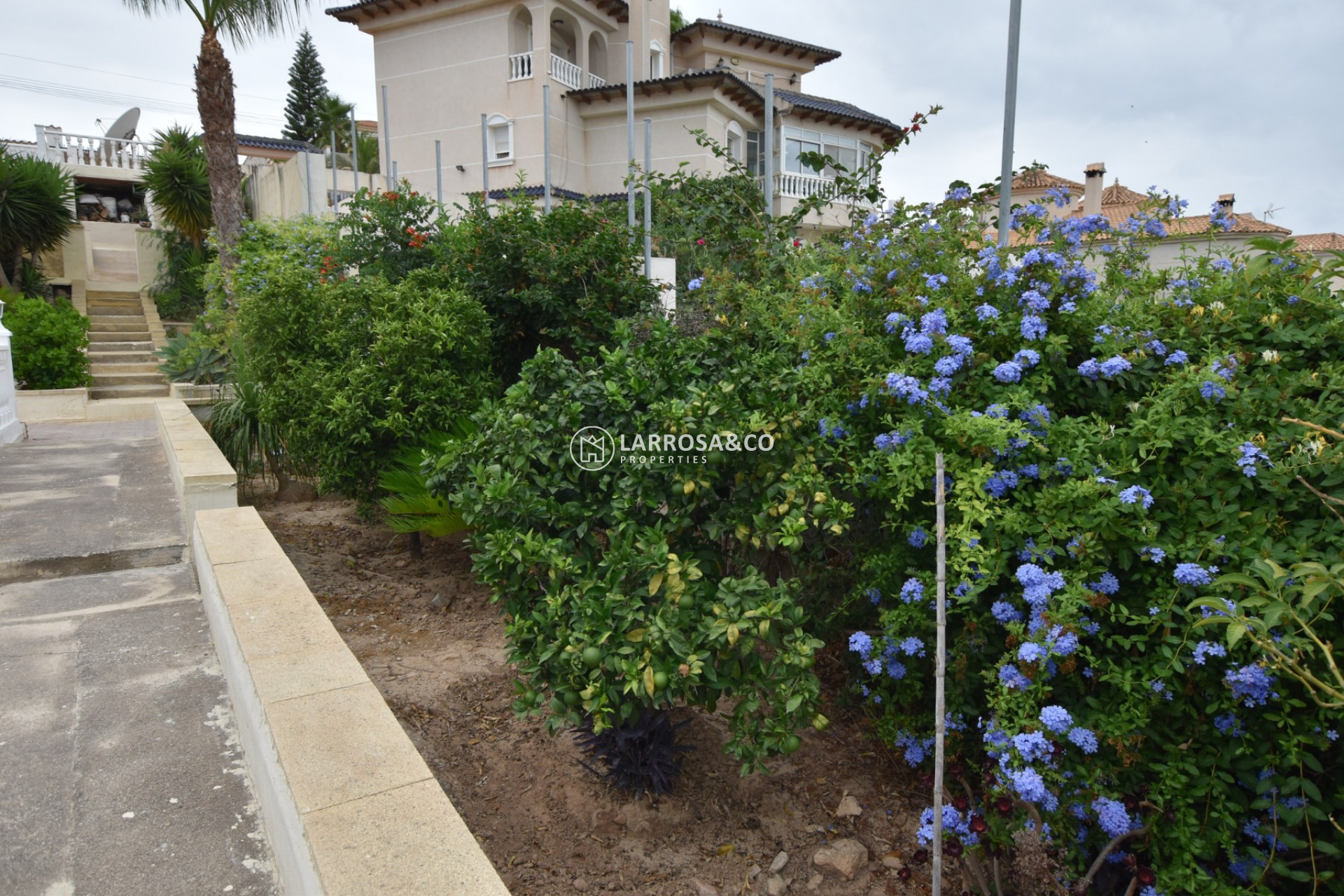 A Vendre - Villa - Algorfa - Inland