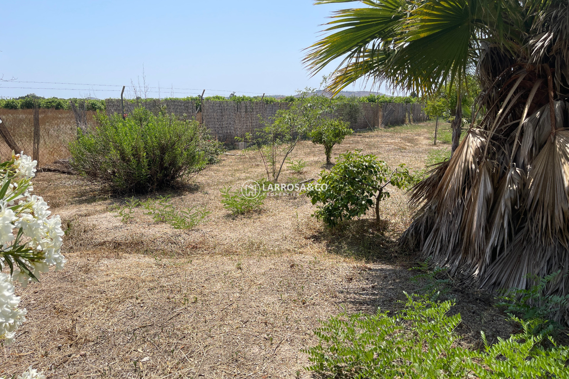 A Vendre - Villa - Daya Nueva - Costa Blanca