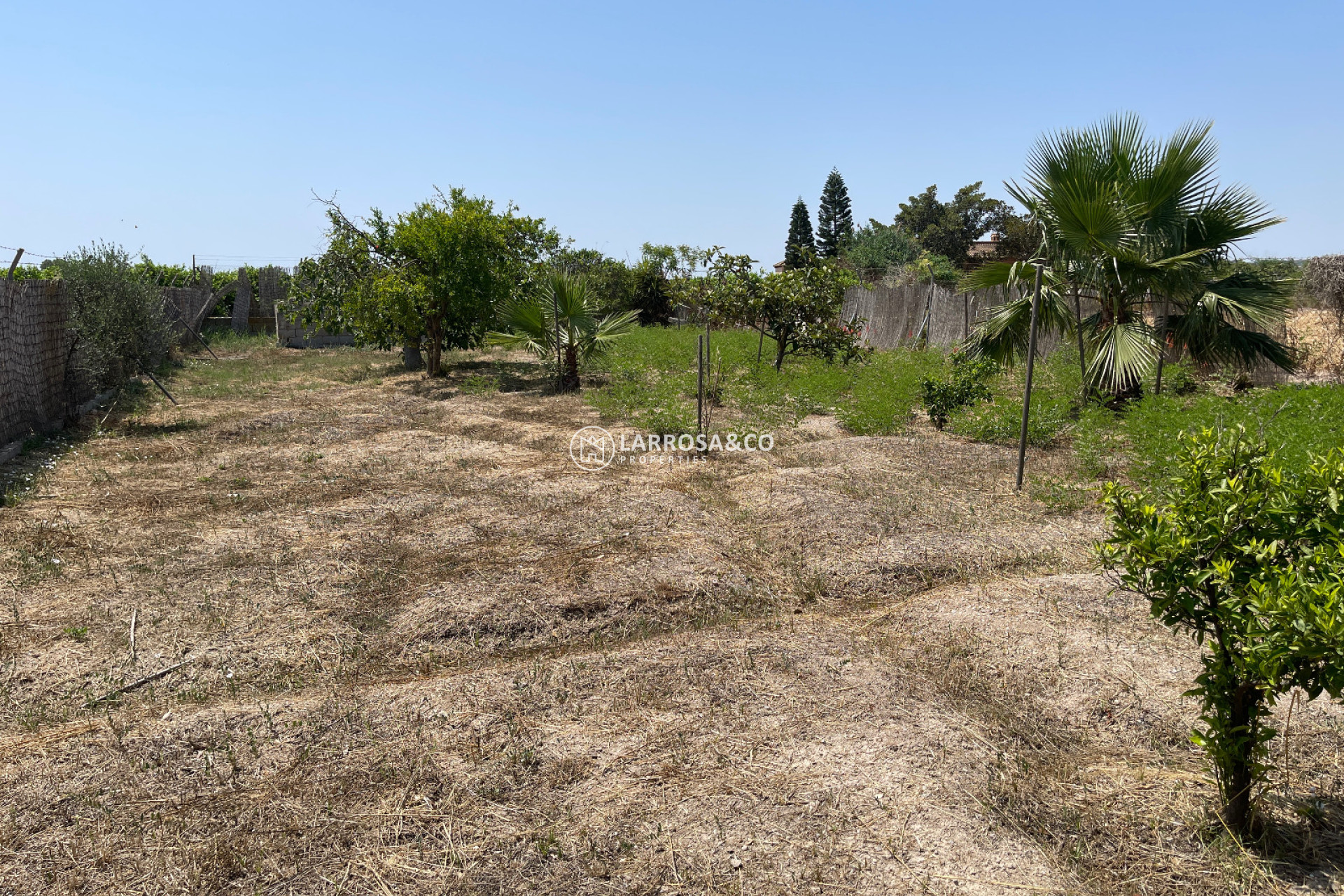 A Vendre - Villa - Daya Nueva - Costa Blanca