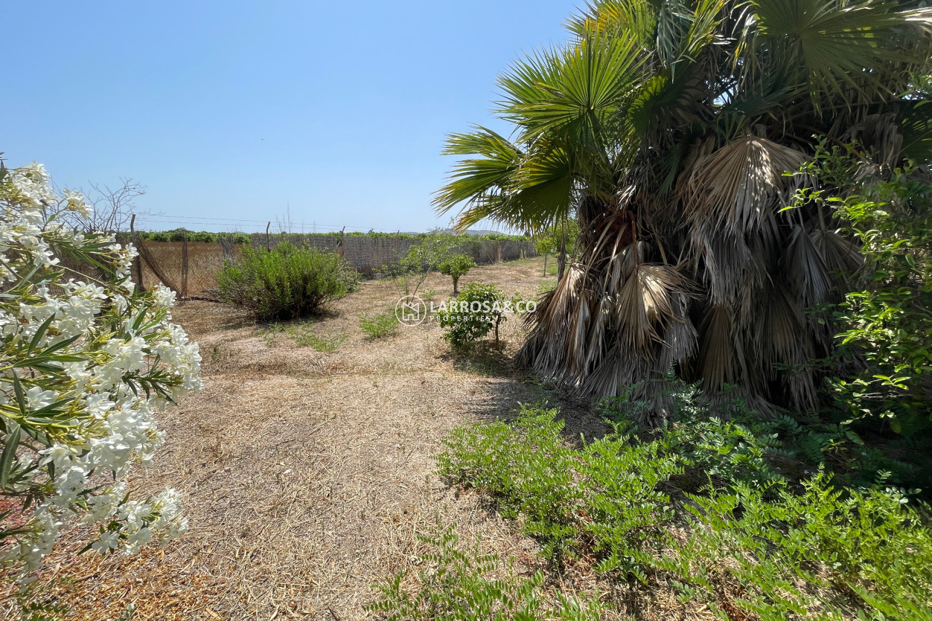 A Vendre - Villa - Daya Nueva - Costa Blanca