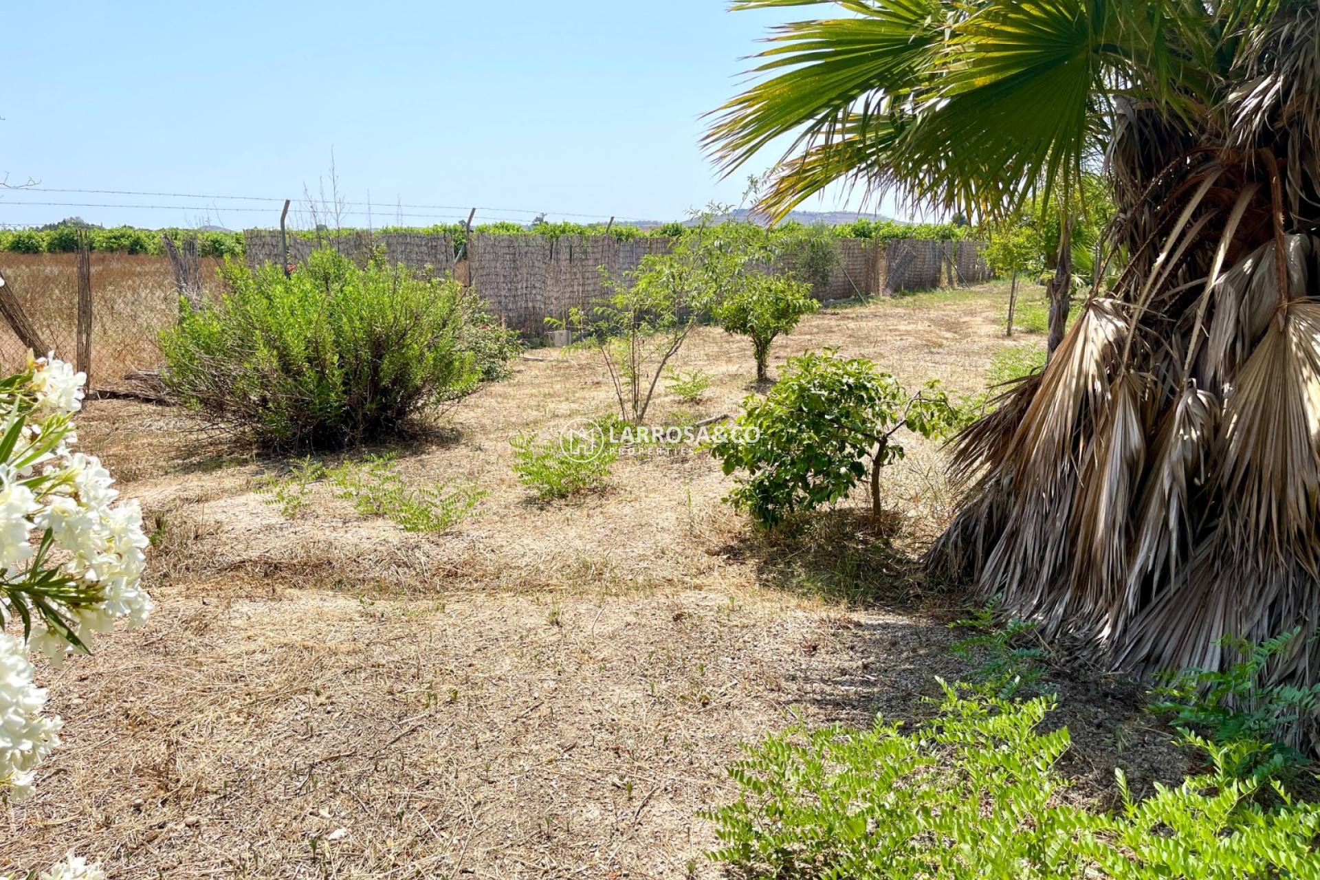 A Vendre - Villa - Daya Nueva - Costa Blanca
