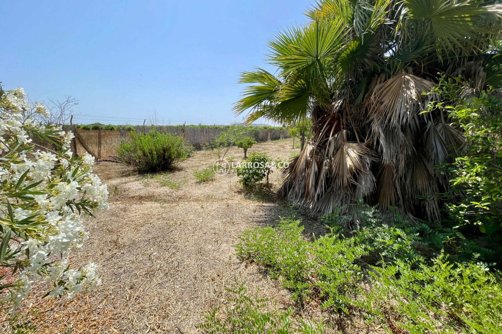 A Vendre - Villa - Daya Nueva - Costa Blanca