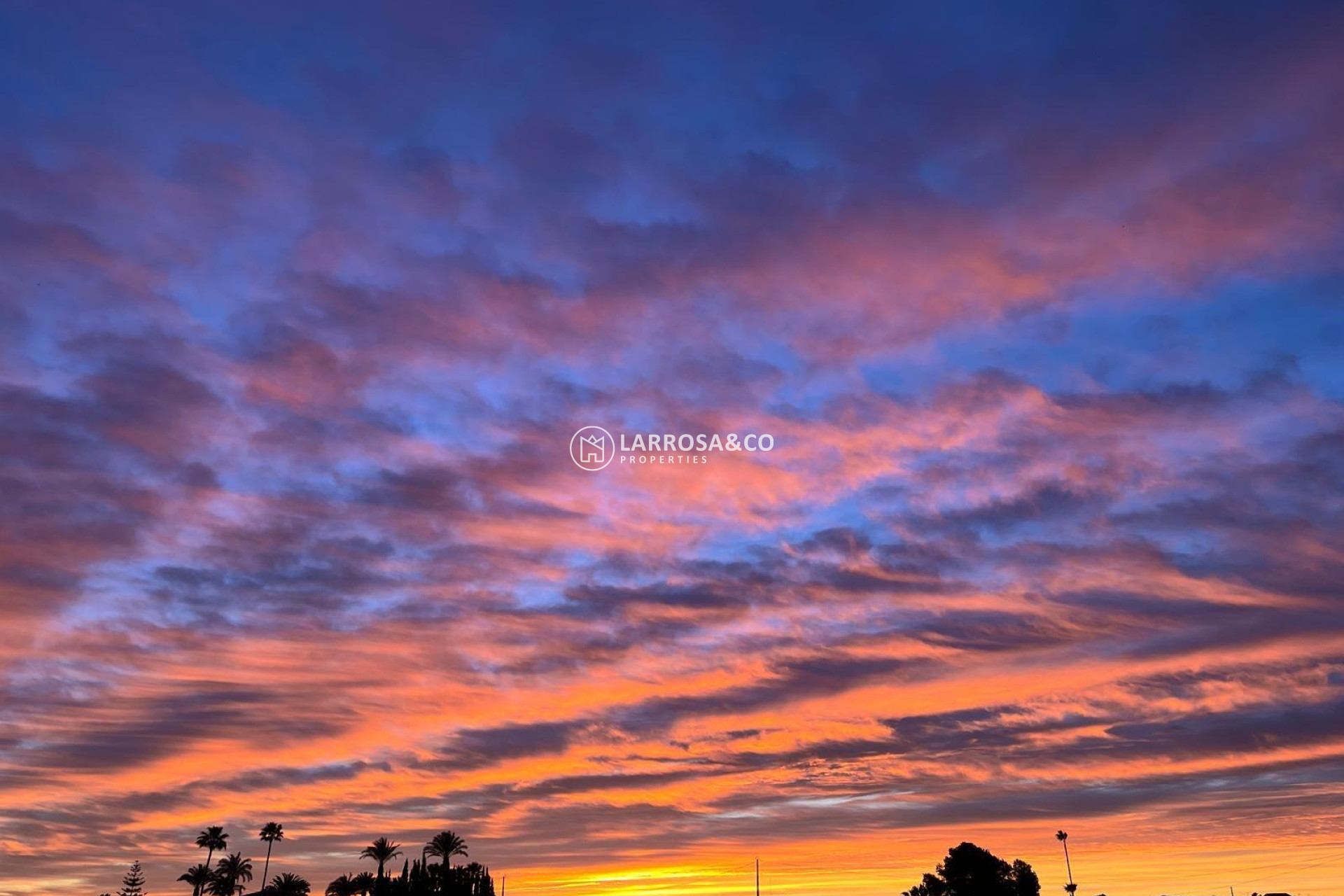 A Vendre - Villa - Dolores - Comunidad valenciana