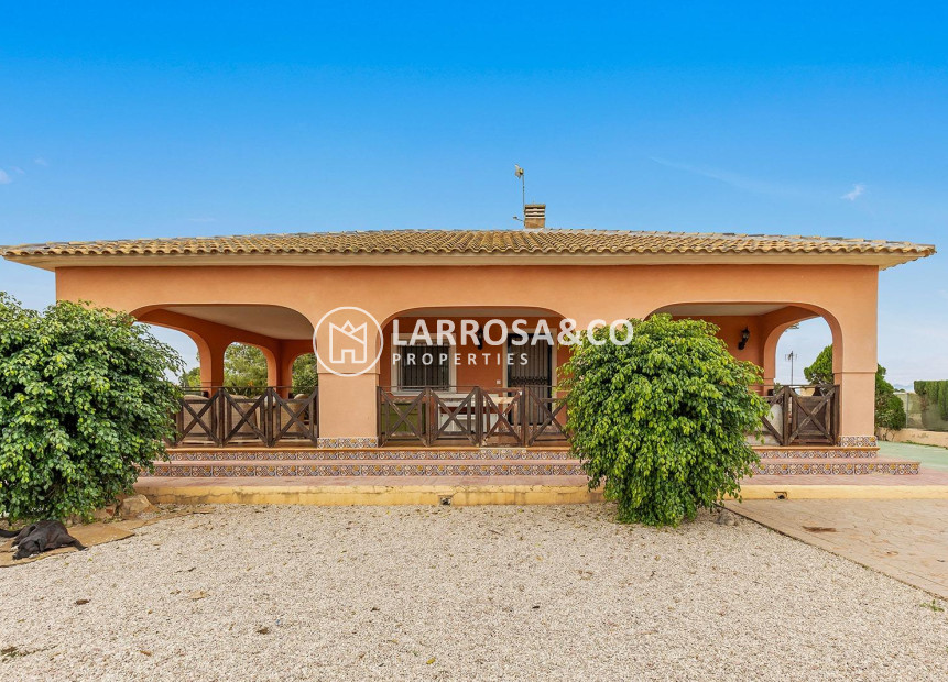 A Vendre - Villa - Dolores - Vereda del pozo