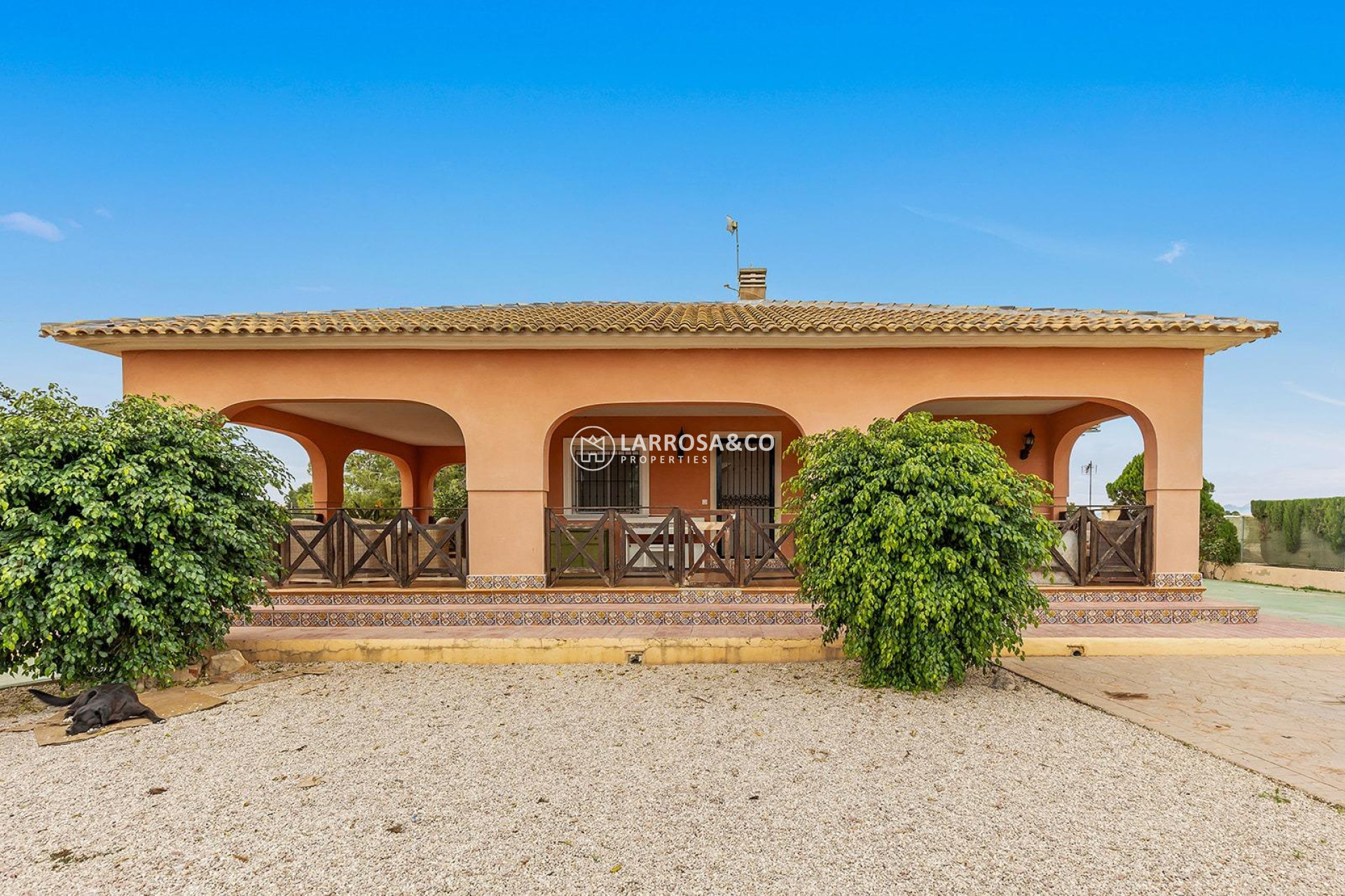 A Vendre - Villa - Dolores - Vereda del pozo