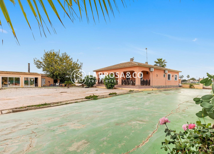 A Vendre - Villa - Dolores - Vereda del pozo