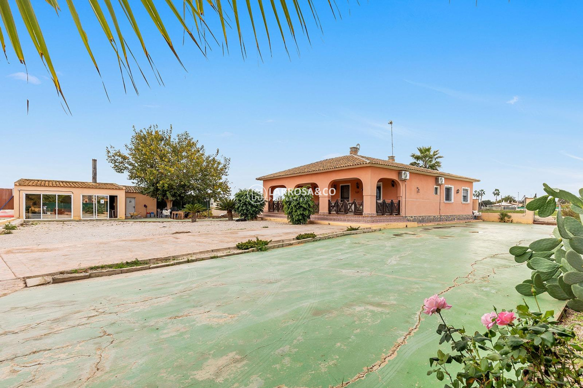 A Vendre - Villa - Dolores - Vereda del pozo