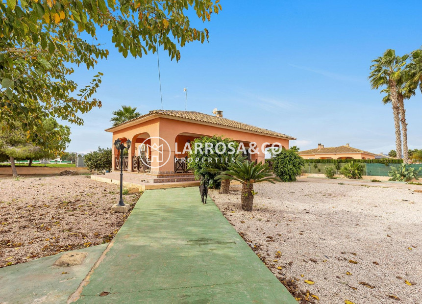 A Vendre - Villa - Dolores - Vereda del pozo