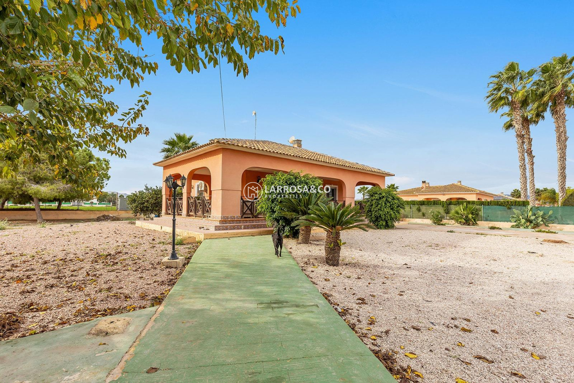 A Vendre - Villa - Dolores - Vereda del pozo