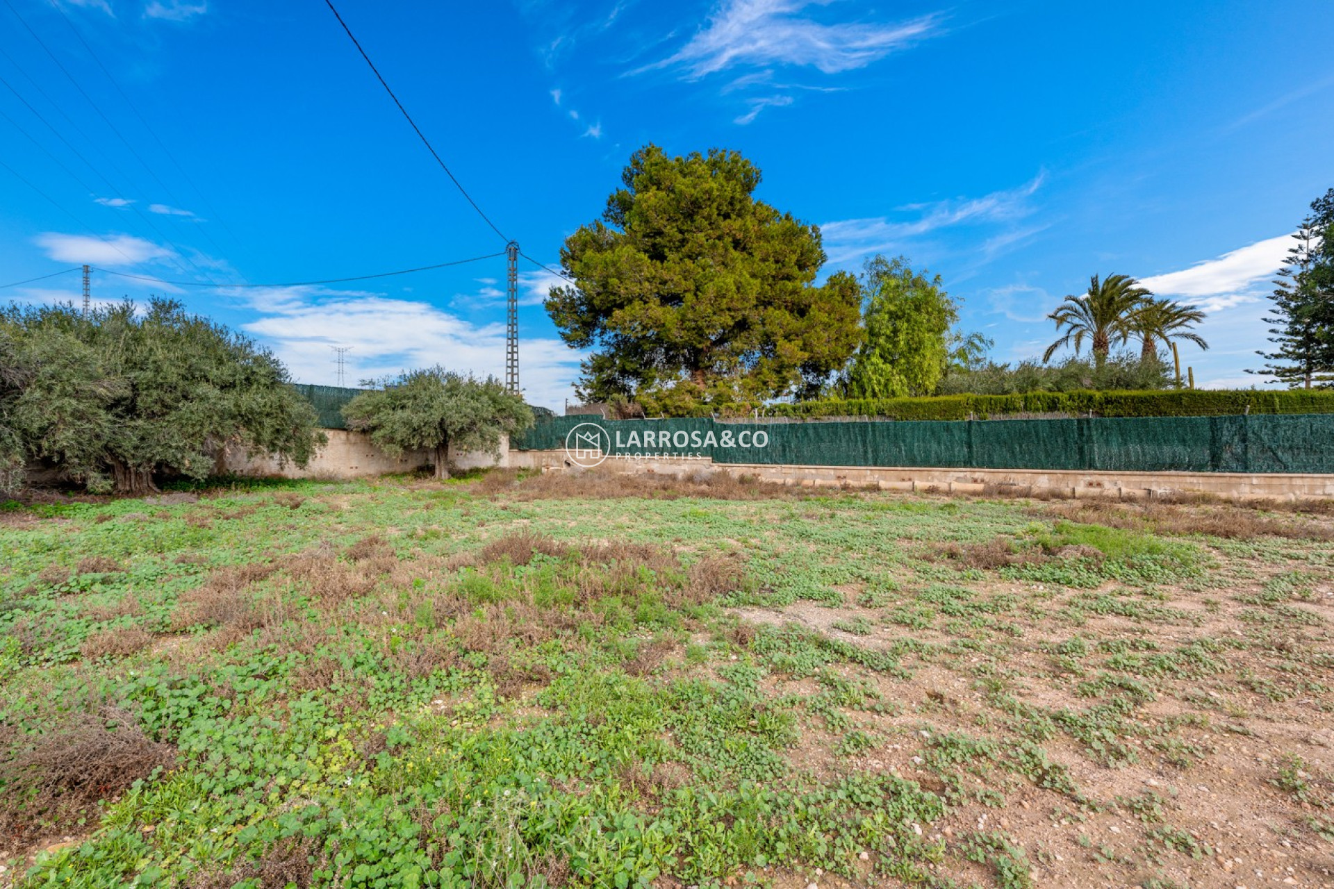 A Vendre - Villa - Elche/Elx