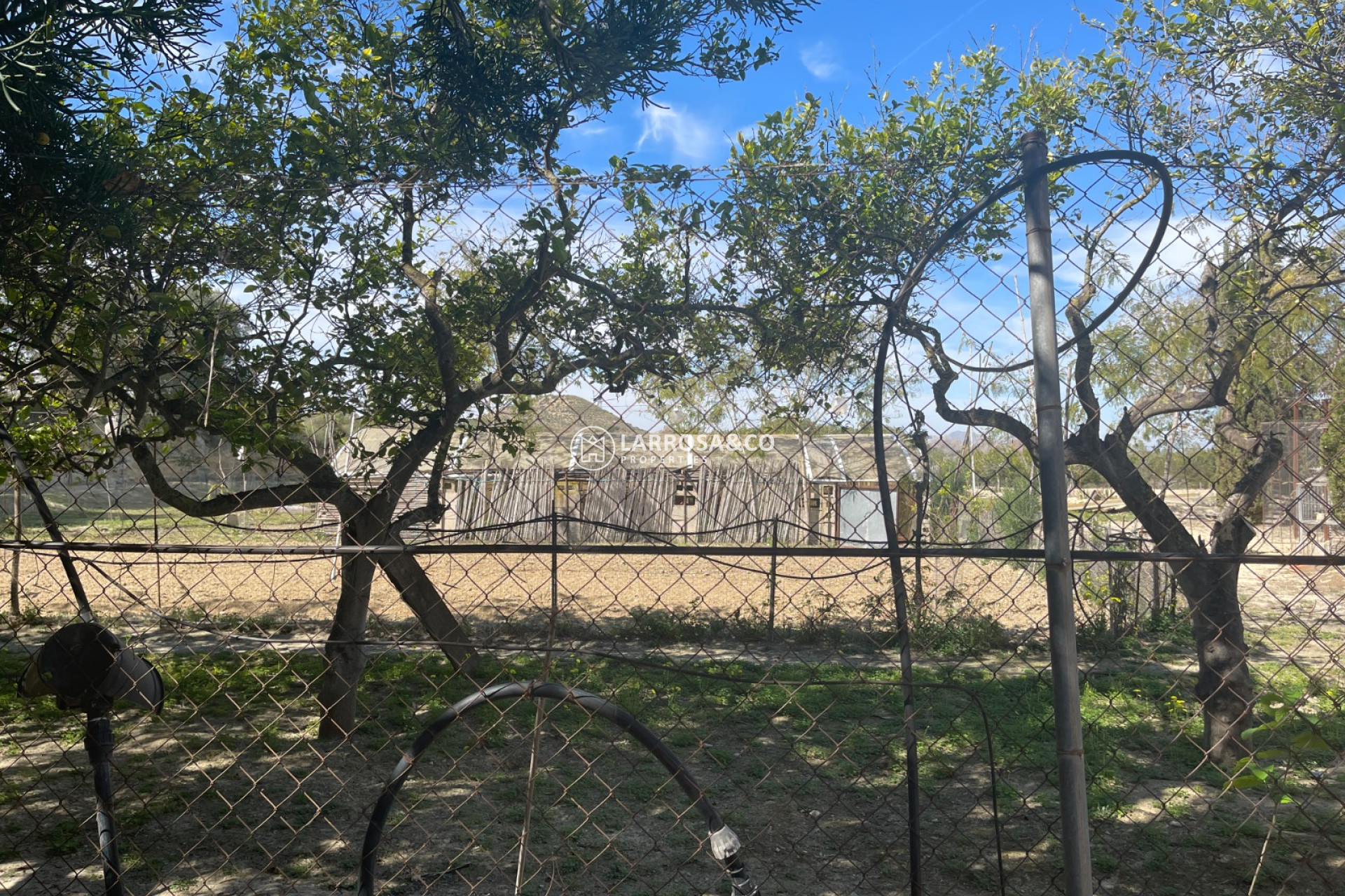 A Vendre - Villa - Guardamar del Segura - Costa Blanca