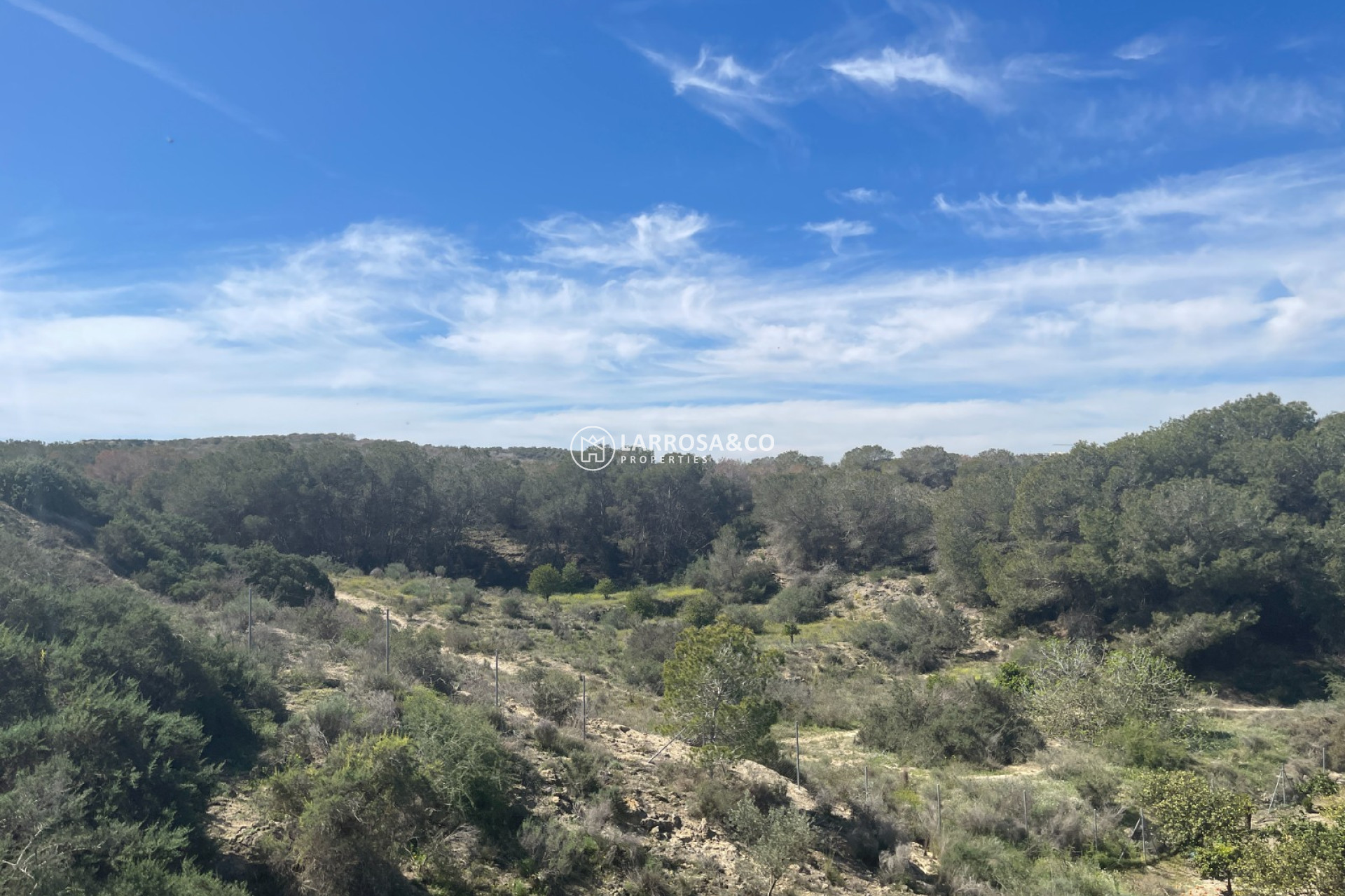 A Vendre - Villa - Guardamar del Segura - Costa Blanca