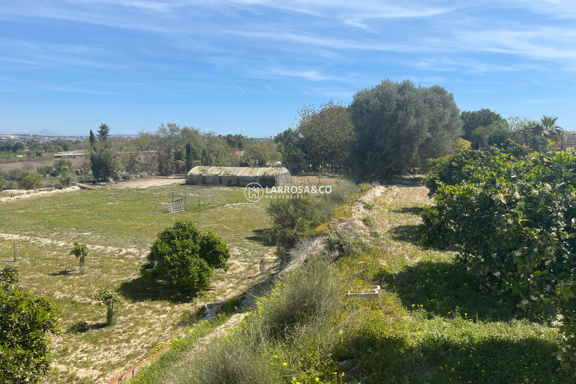 A Vendre - Villa - Guardamar del Segura - Costa Blanca