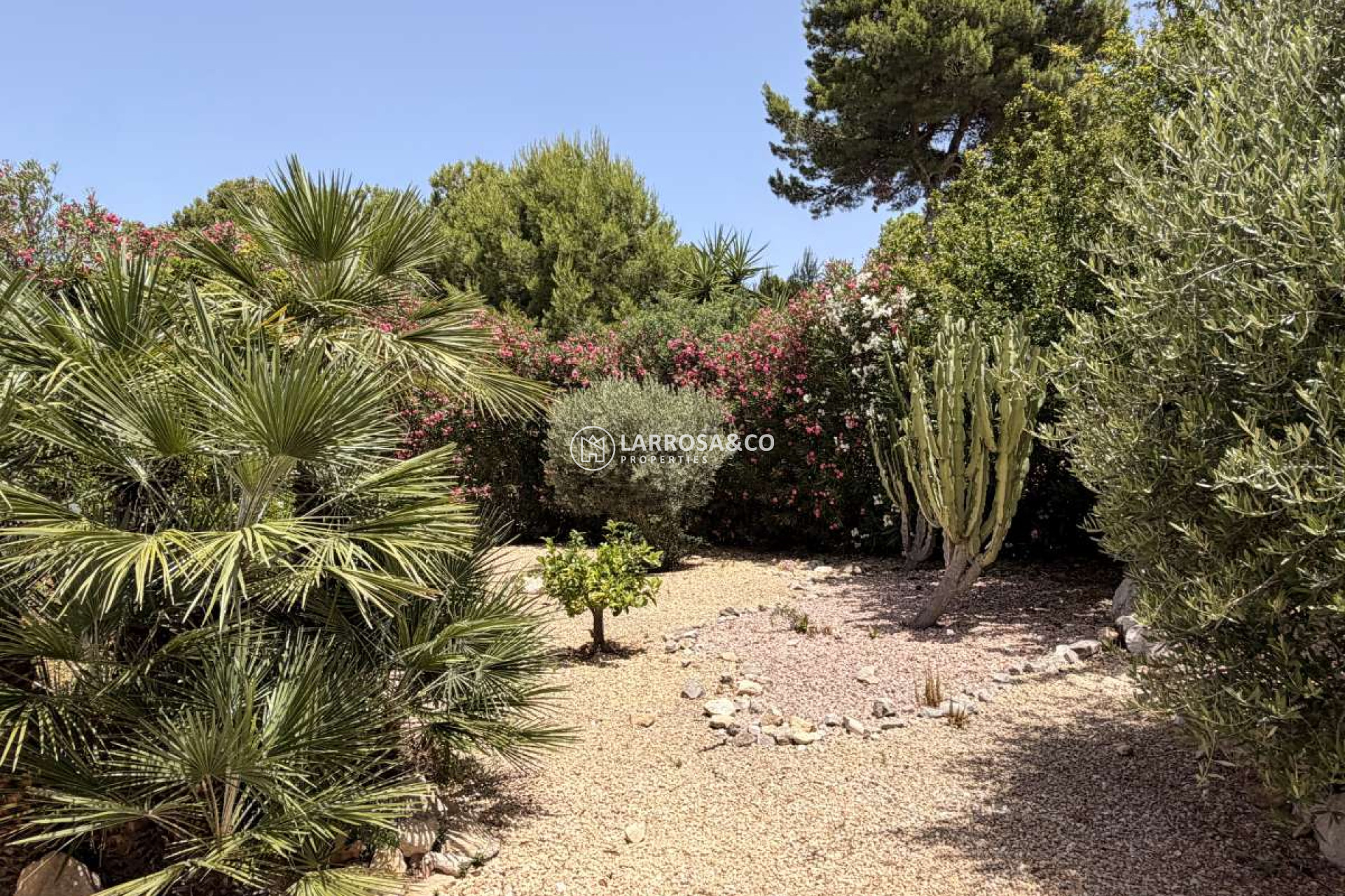 A Vendre - Villa - Javea - Costa Blanca