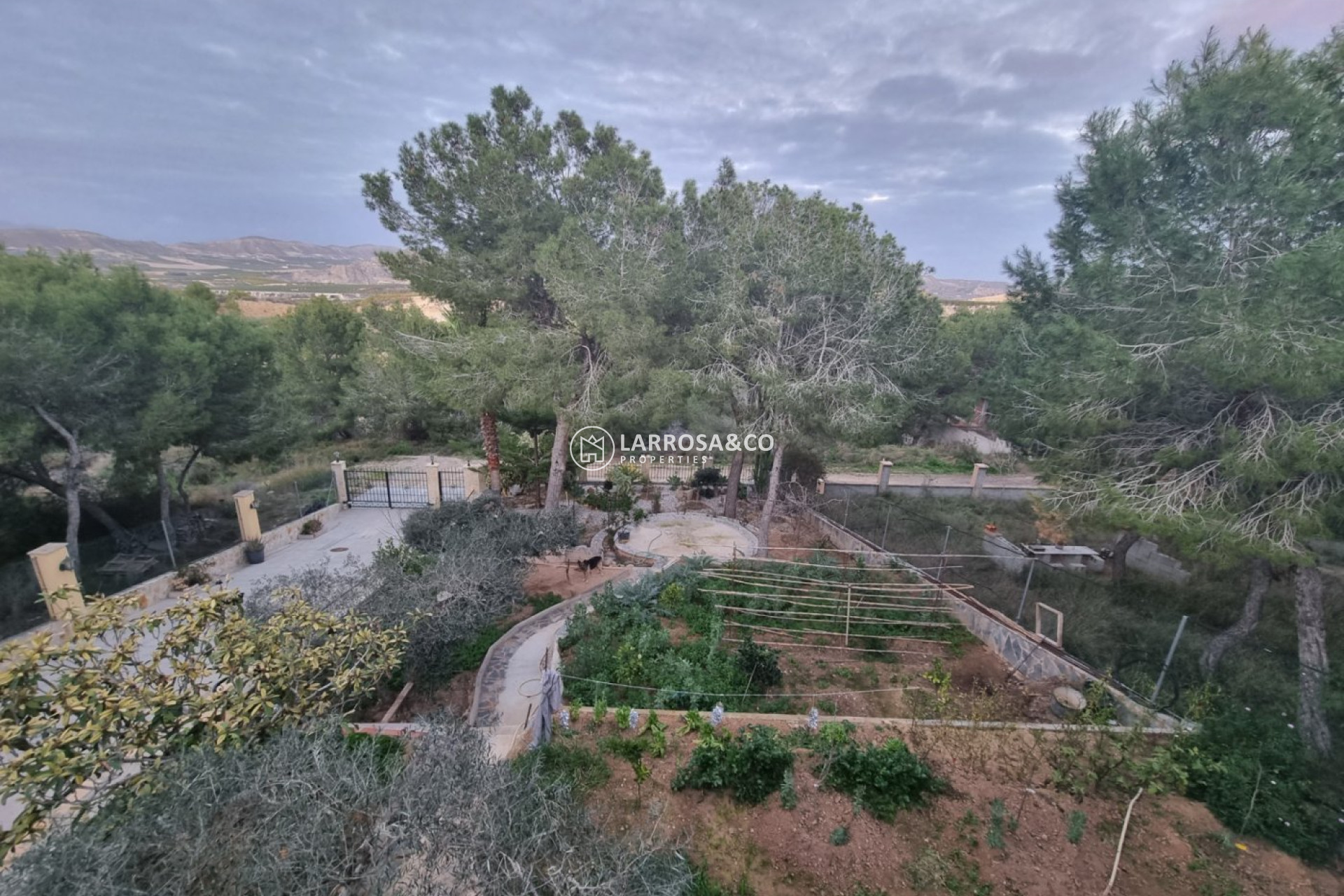 A Vendre - Villa - Murcia - Cañadas de San Pedro