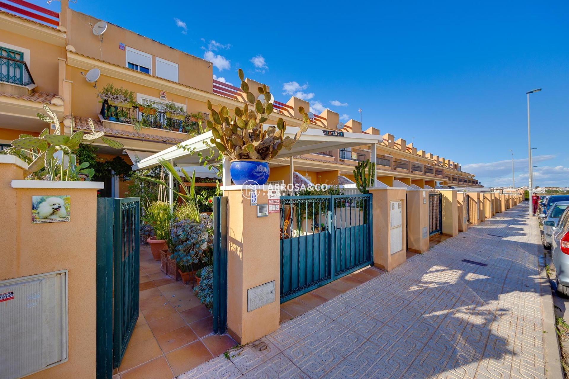A Vendre - Villa - Orihuela costa - Costa Blanca