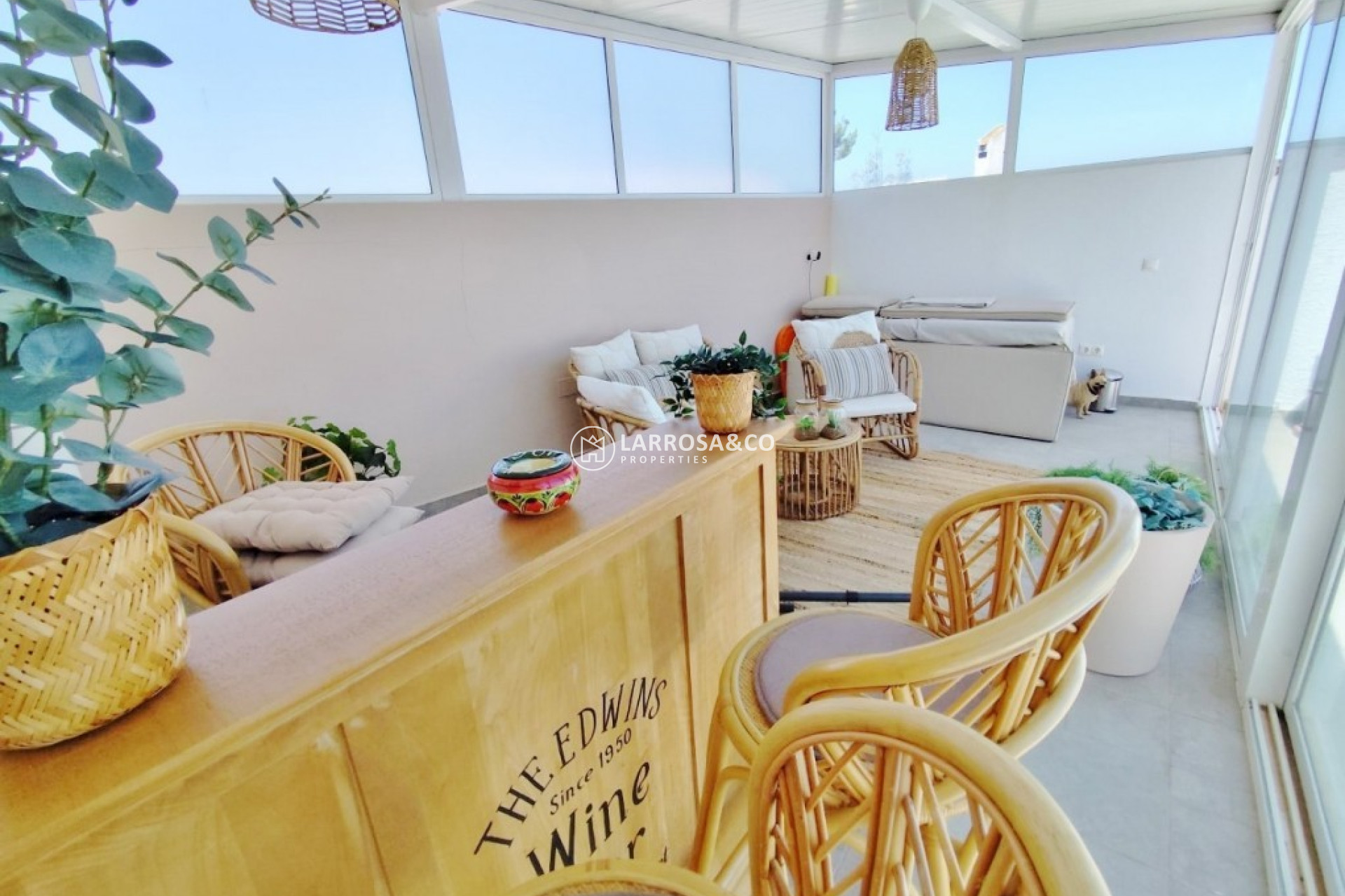 A Vendre - Villa - San Miguel de Salinas - Inland