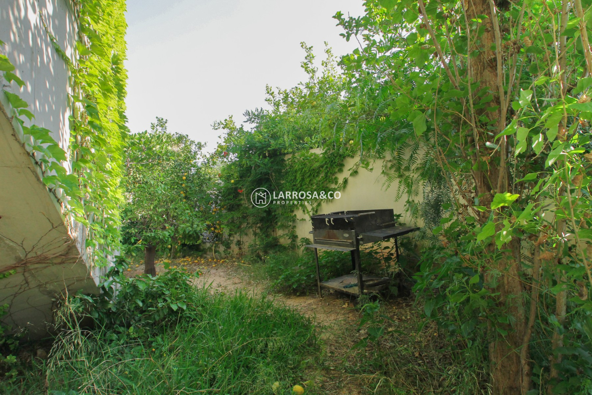 A Vendre - Villa - San Vicente del Raspeig - Inland