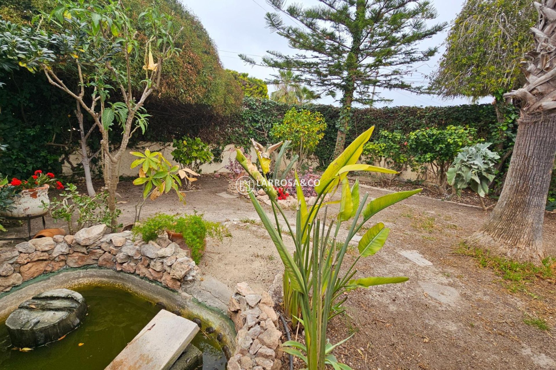 A Vendre - Villa - Torrevieja - El chaparral