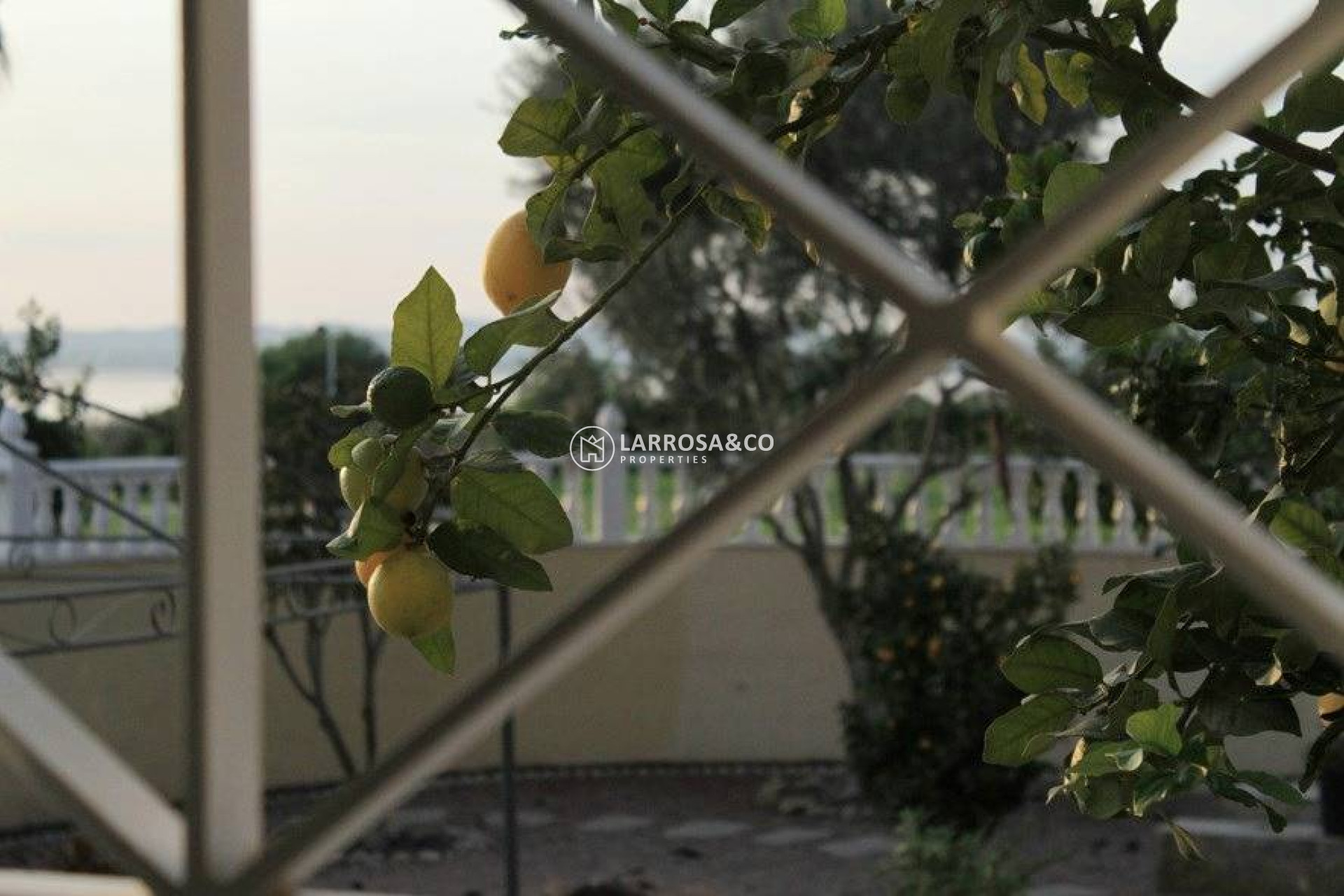 A Vendre - Villa - Torrevieja - La Siesta - El Salado - Torreta