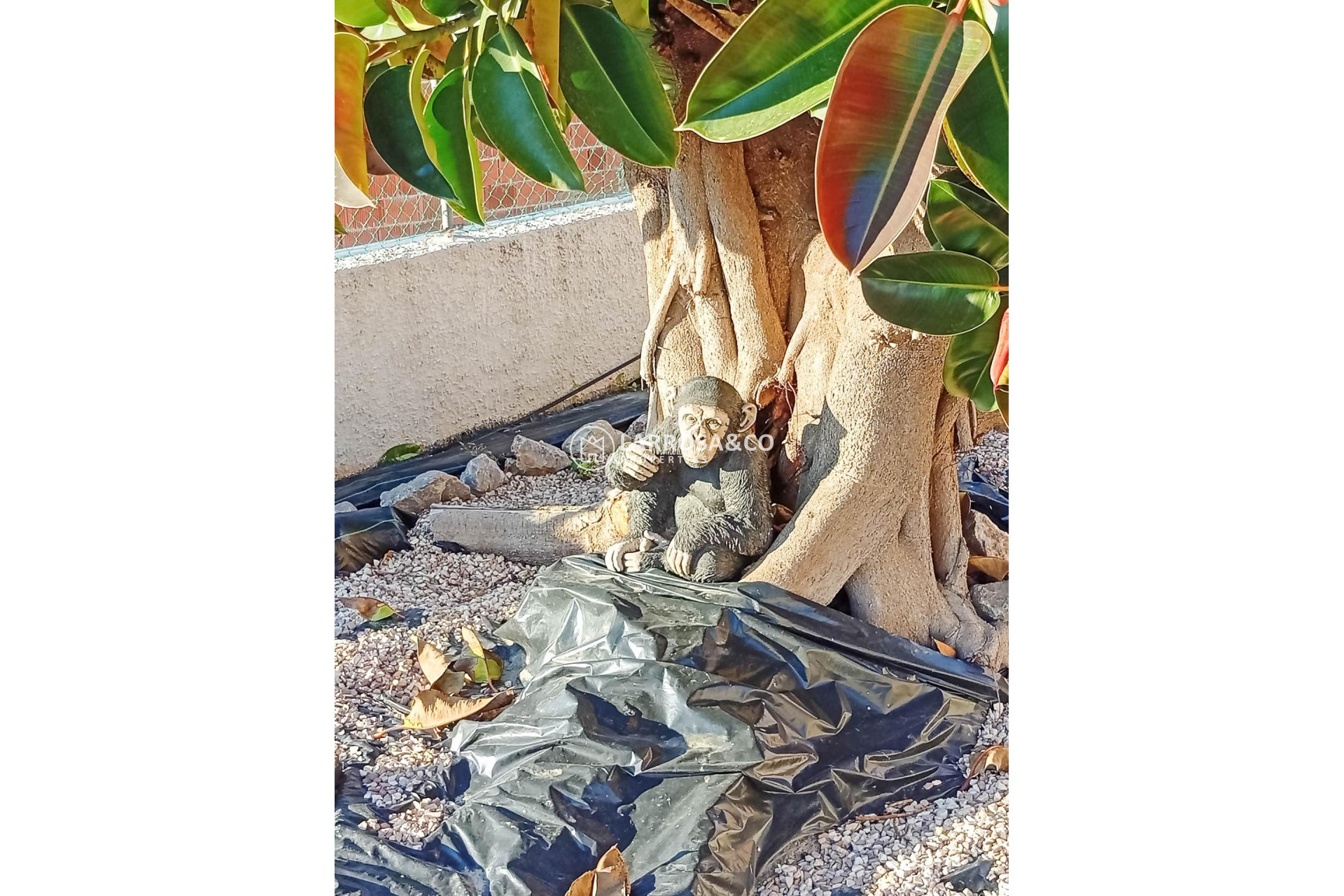 A Vendre - Villa - Torrevieja - La Siesta - El Salado - Torreta