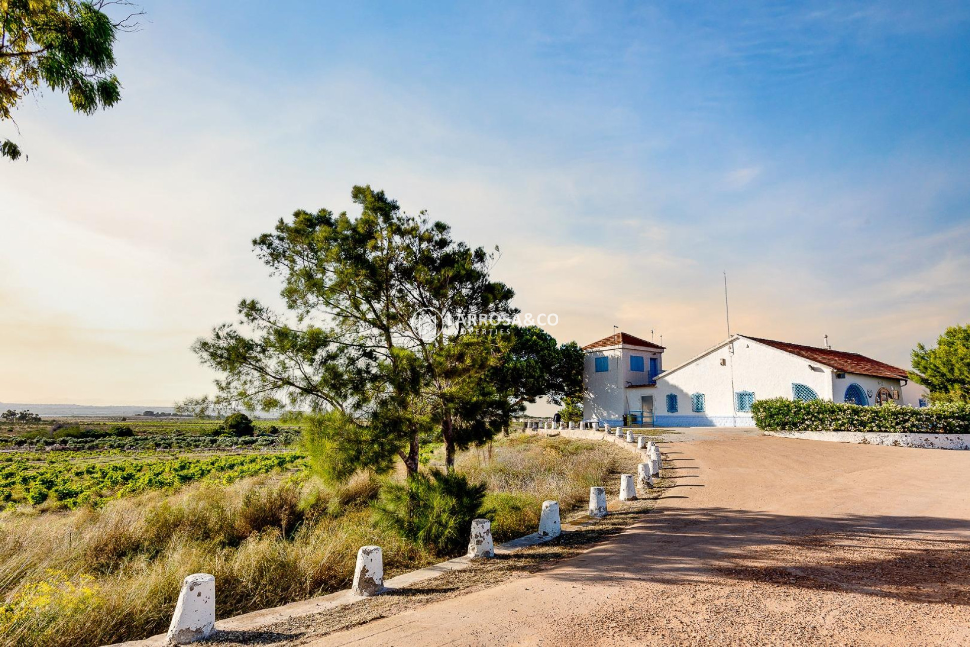 A Vendre - Villa - Torrevieja - La siesta