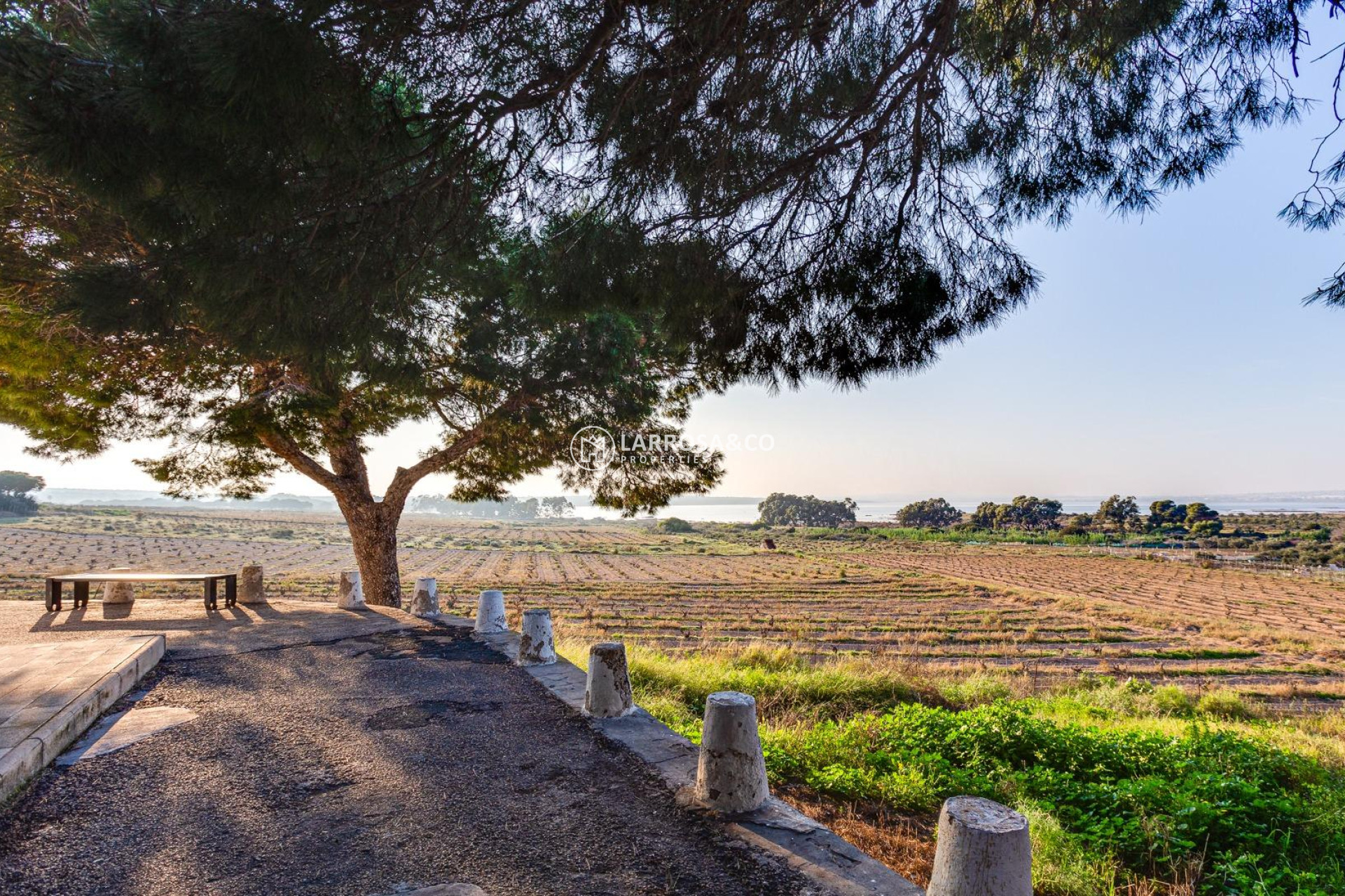 A Vendre - Villa - Torrevieja - La siesta