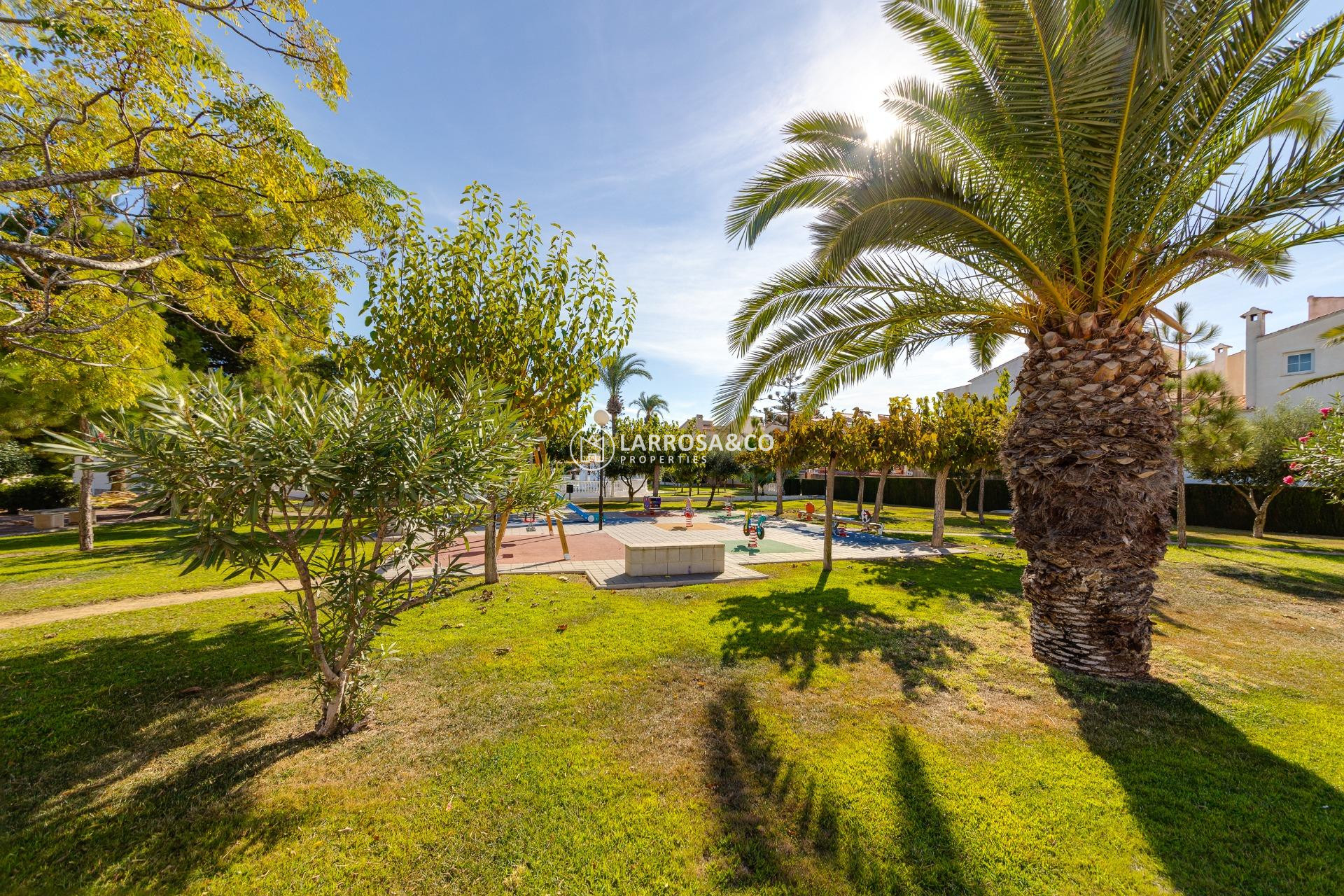 A Vendre - Villa - Torrevieja - La siesta