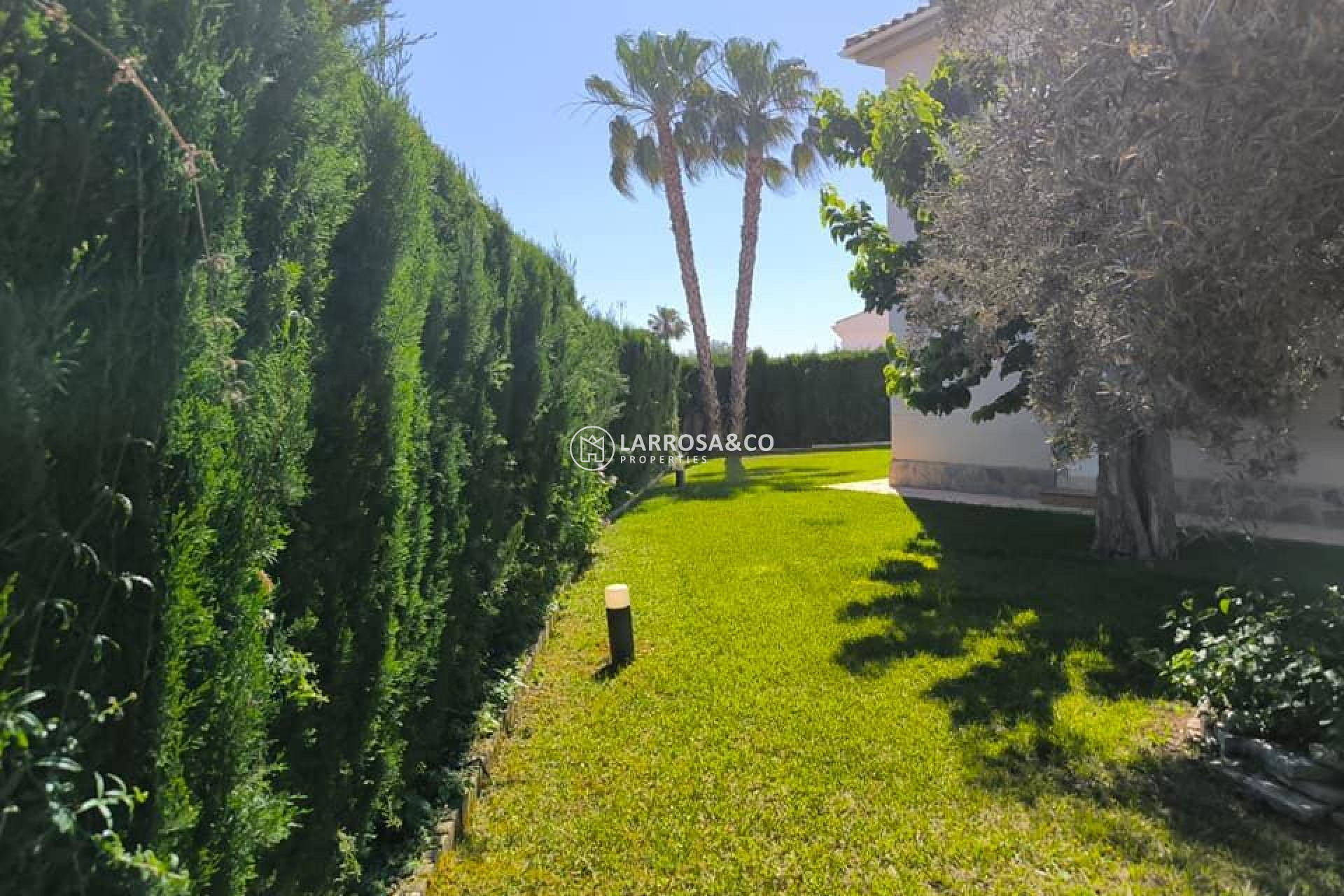 A Vendre - Villa - Torrevieja - La siesta