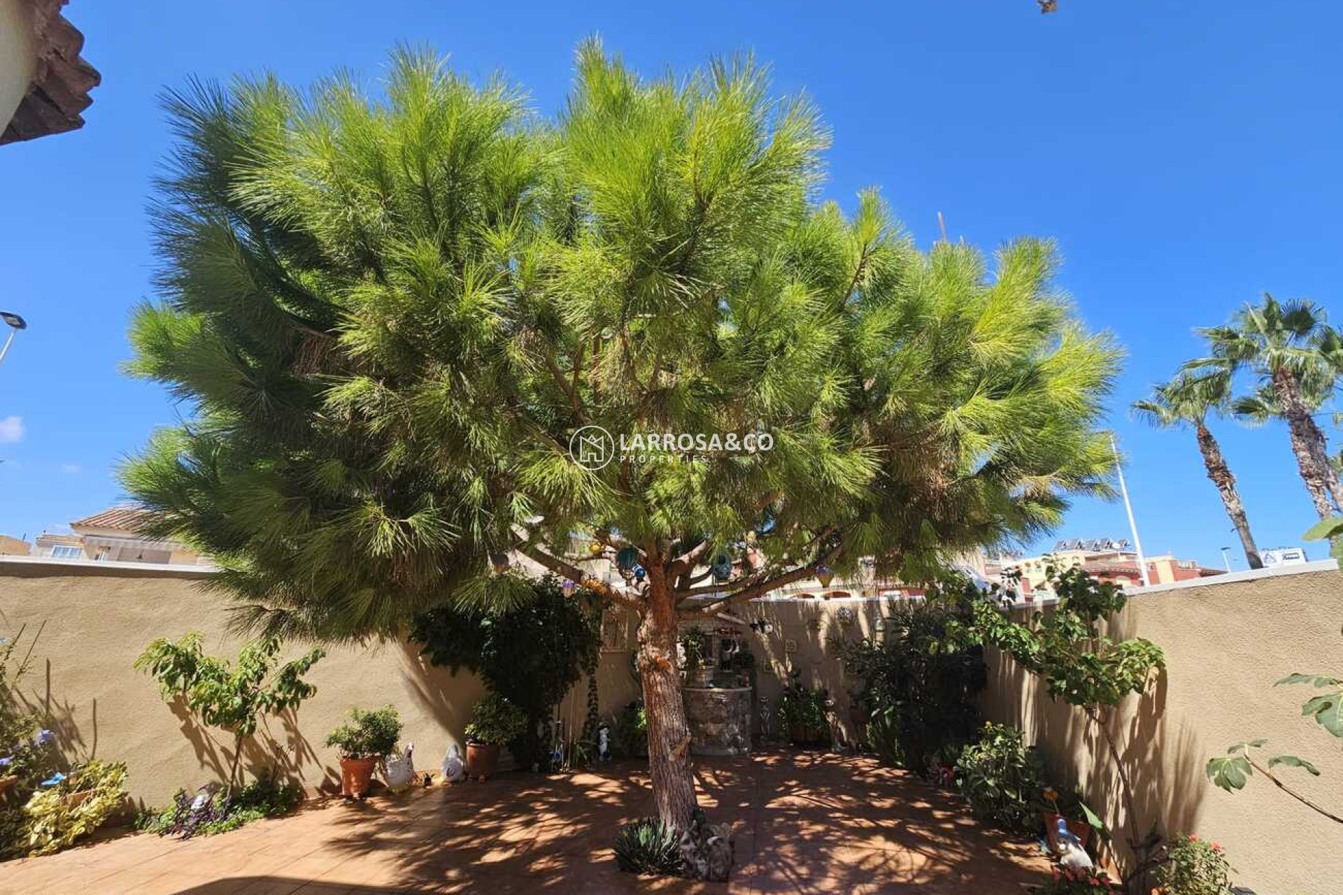 A Vendre - Villa - Torrevieja - Torre del moro