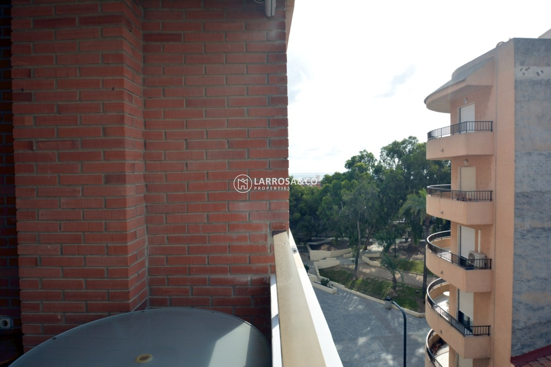 Alquiler larga estancia - Apartamento - Guardamar del Segura - Avenida los pinos