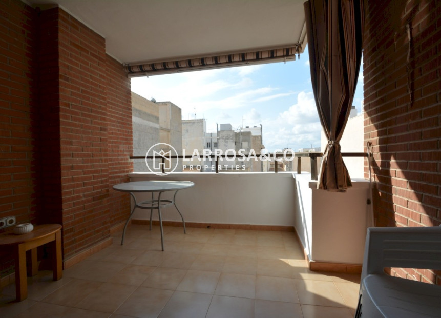 Alquiler larga estancia - Apartamento - Guardamar del Segura - Avenida los pinos