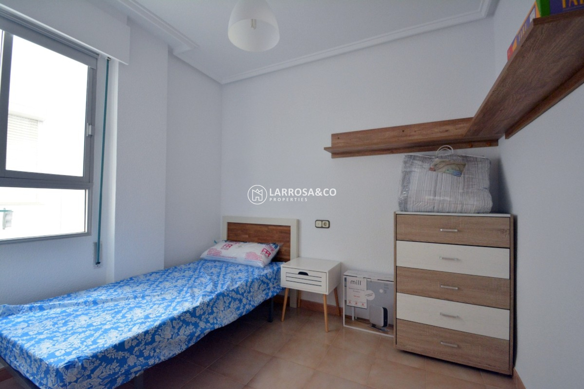 Alquiler larga estancia - Apartamento - Guardamar del Segura - Avenida los pinos