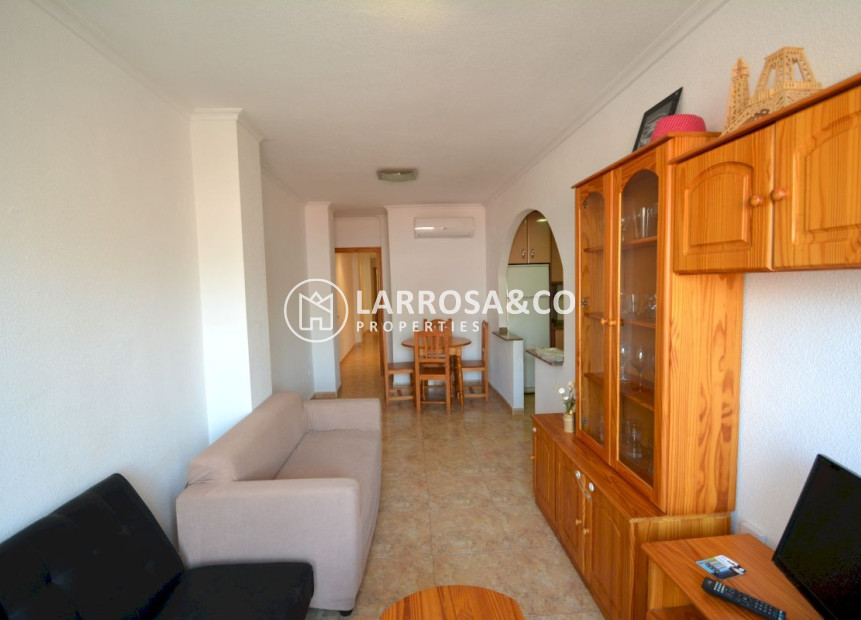 Alquiler larga estancia - Apartamento - Guardamar del Segura