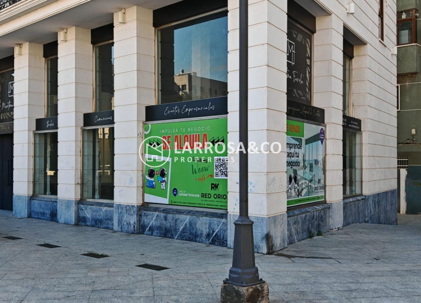 Alquiler larga estancia - Local - Orihuela - Zona Centro