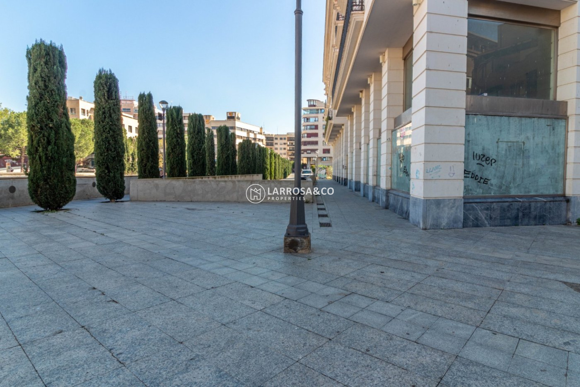 Alquiler larga estancia - Local - Orihuela - Zona Centro