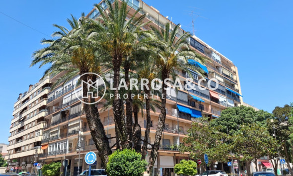 Apartament / Duplex - Herverkoop - Orihuela - Zona Centro