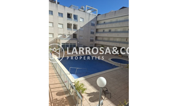Apartamento - Reventa - Almoradí - Almoradí