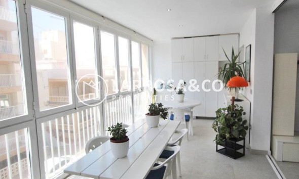 Apartamento - Reventa - Guardamar del Segura - ASV-52605