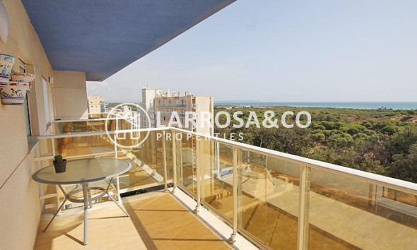 Apartamento - Reventa - Guardamar del Segura - Avenida del Puerto