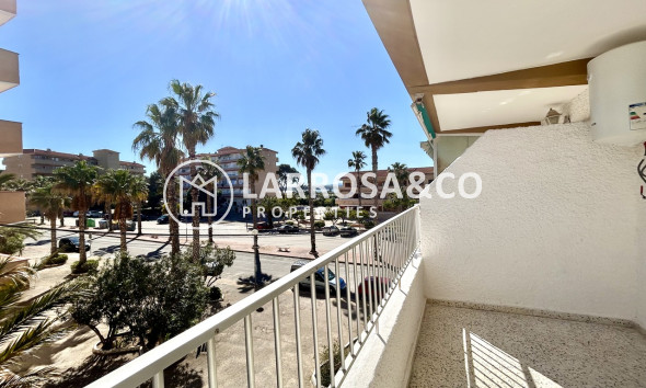Apartamento - Reventa - Guardamar del Segura - Costa Blanca